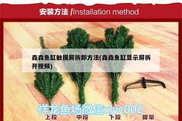 耒陽市清平水族店（耒陽市清平水族店電話號碼）