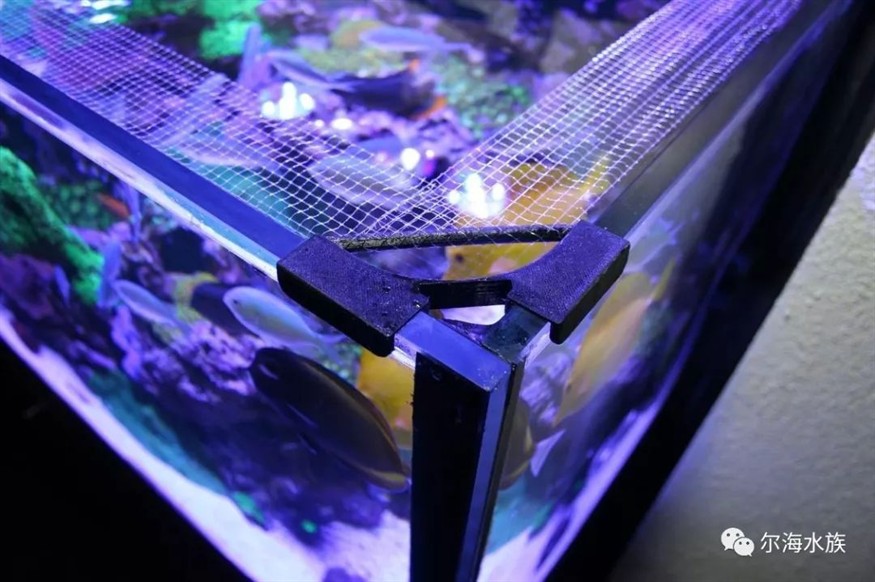多大魚缸需要加拉筋：自制魚缸的技巧與注意事項