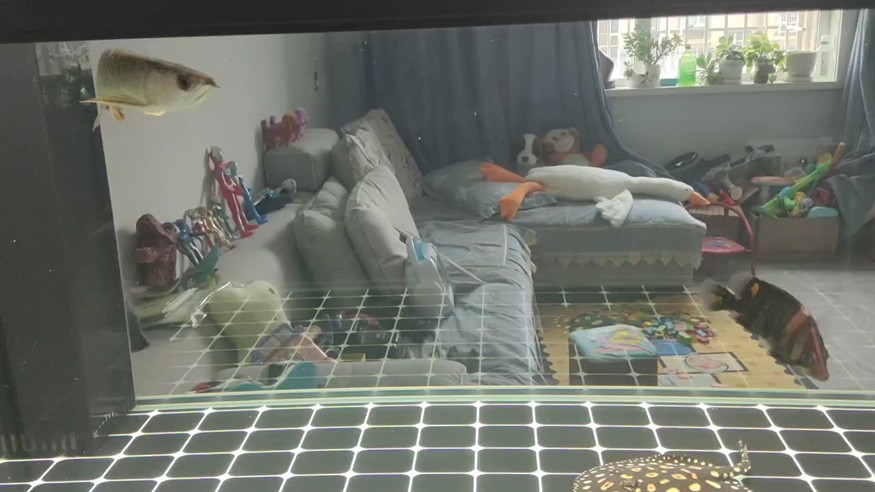 狀態如狗。