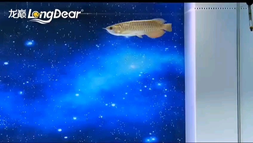 轉發157