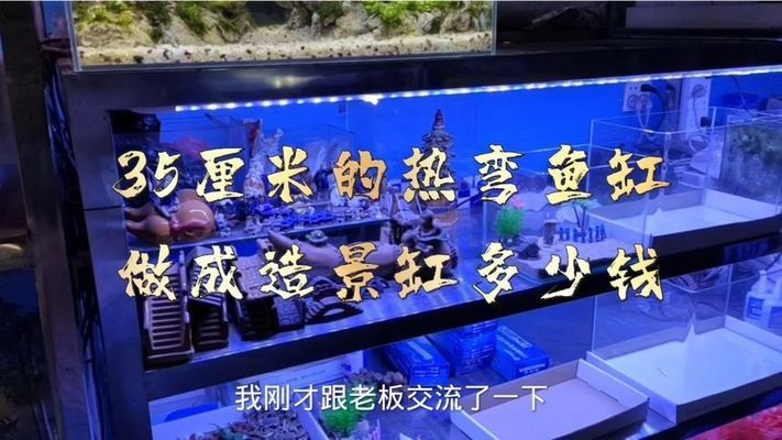 紅龍魚凸眼睛怎么辦啊視頻教學（紅龍魚凸眼睛怎么辦啊視頻教學）