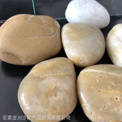 川沙哪里有賣魚(yú)缸的地方啊：上海川沙新區(qū)川沙新鎮(zhèn)主營(yíng)觀賞魚(yú)的養(yǎng)殖具體地址未提供
