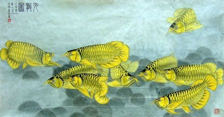 金龍魚畫法大全兒童畫