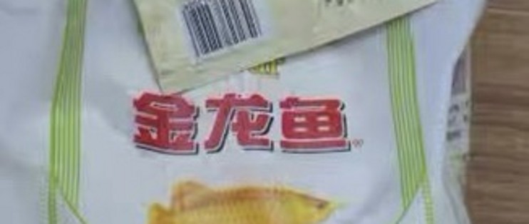 紅龍魚怎么調理狀態好（紅龍魚怎么調理狀態好一點）