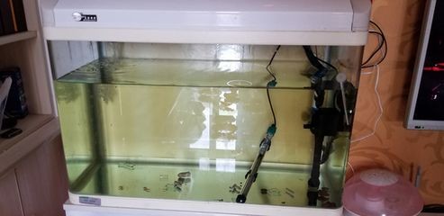 處理二手魚缸：二手魚缸處理二手魚缸的處理方法有哪些