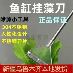 大型魚缸清理缸壁的方法：在清理大型魚缸時(shí)，有幾個(gè)步驟和方法可以幫助您有效去除缸壁上的污垢和藻類 大型魚缸清理缸壁的方法：在清理大型魚缸時(shí)，有幾個(gè)步驟和方法可以幫助您有效去除缸壁上的污垢和藻類 魚缸百科 第4張