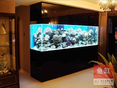 大型魚缸怎么做到對流：大型魚缸對流的原理和方法