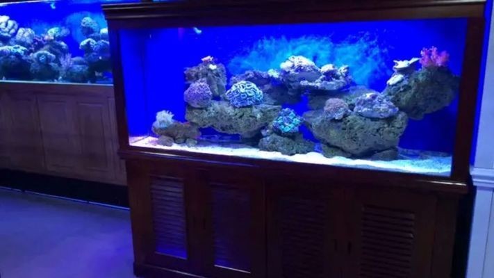 威海高技術產業開發區魚龍水族館（威海水族魚門店電話）