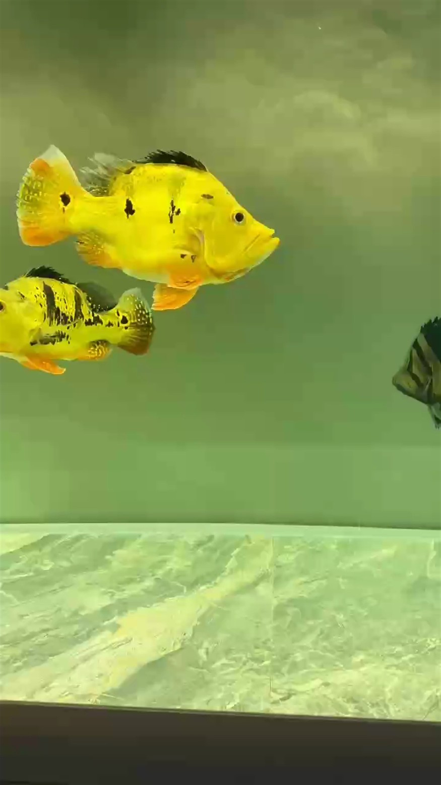 賞一賞