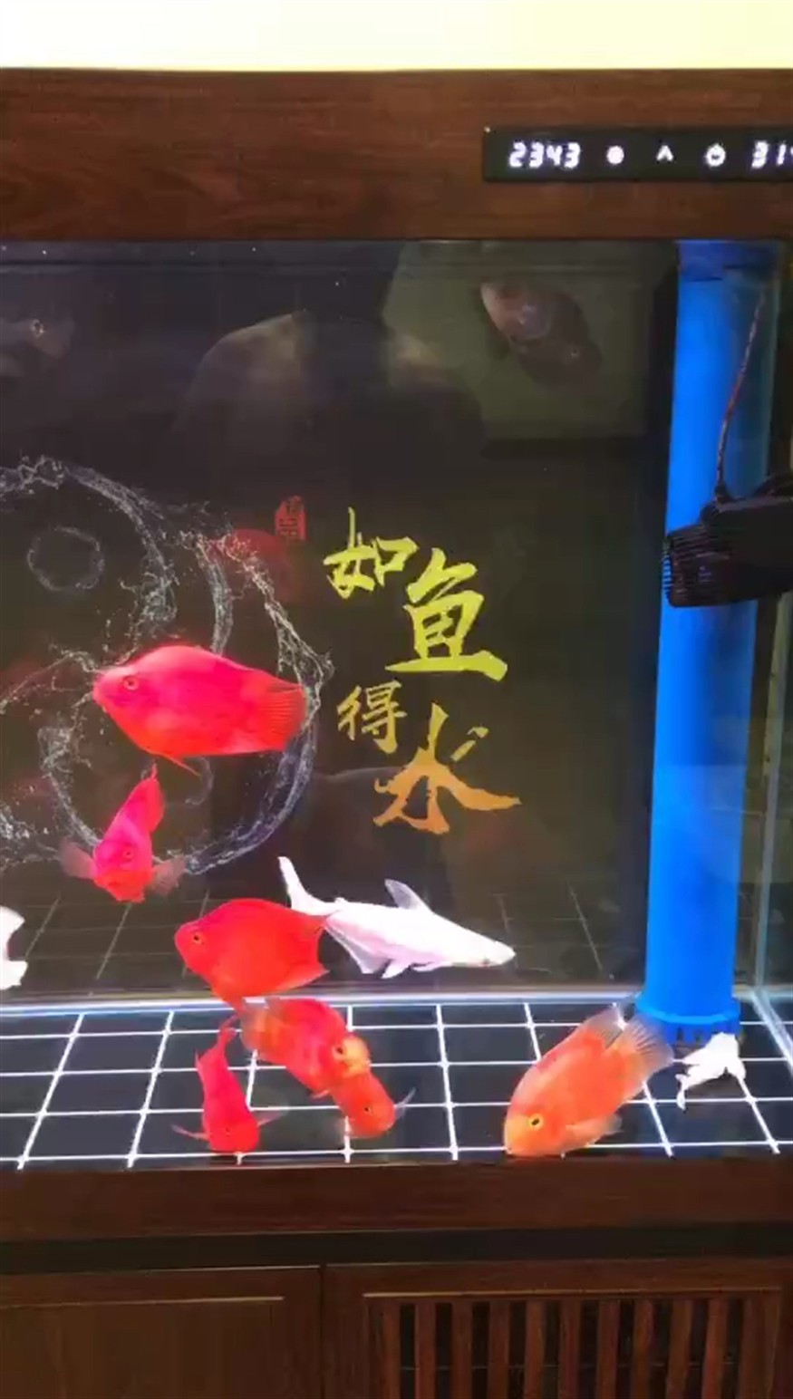 點綴生活中美
