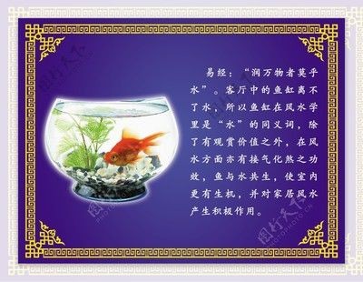 對(duì)魚缸里的魚的描寫句子：魚缸生態(tài)揭秘