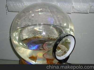 常平魚缸專賣店在哪里啊：常平海鮮魚缸專賣店位置