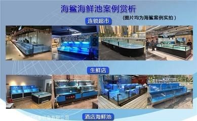 超市魚缸的魚該怎么養好活：在超市的魚缸中養殖注意事項在放養前需要注意以下幾個方面