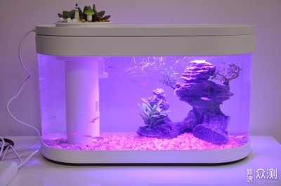 安陽高新區(qū)深藍(lán)水族生活館（安陽高新區(qū)深藍(lán)水族生活館地址）