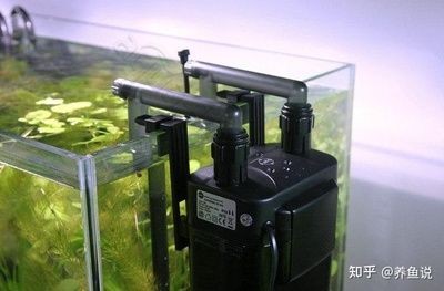 成品小魚缸上蓋整個能拆掉么：成品小魚缸的上蓋可以拆卸嗎