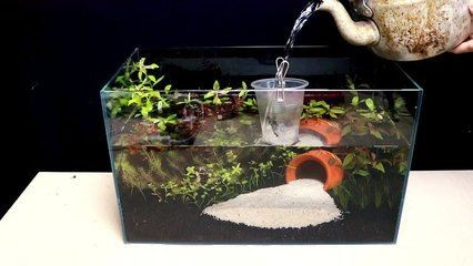 不想要的魚缸怎么處理掉：不想要的魚缸可以根據其狀況和用途和用途進行不同的處理