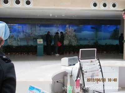 超大玻璃魚缸：超大玻璃魚缸的制作與設計