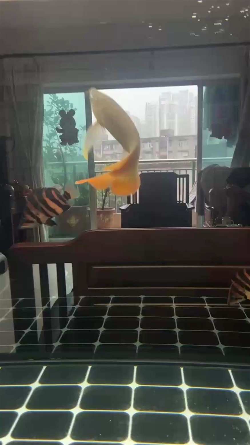 五虎上將