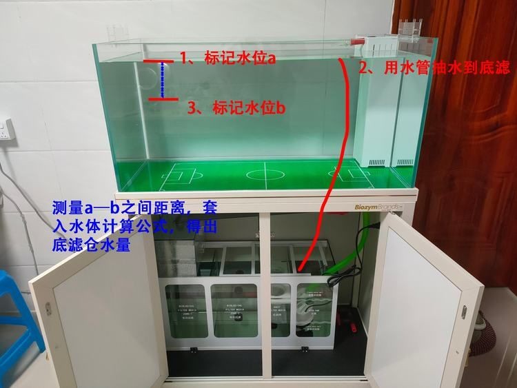 1.2米寬的魚缸一般多少升水：1.2米寬的魚缸一般多少升水，養(yǎng)魚時需要注意什么