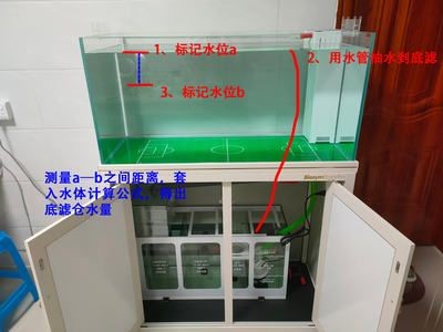 1.2米寬的魚缸一般多少升水：1.2米寬的魚缸一般多少升水，養(yǎng)魚時需要注意什么