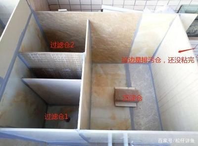 瓷磚可以用來做魚缸么視頻：瓷磚可以用來制作魚缸嗎？