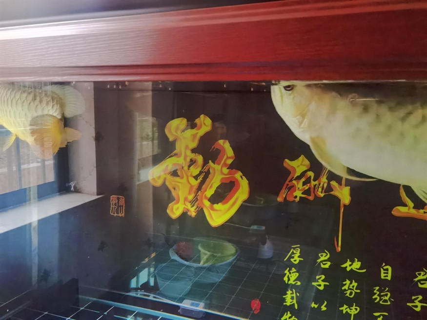 吃飯了