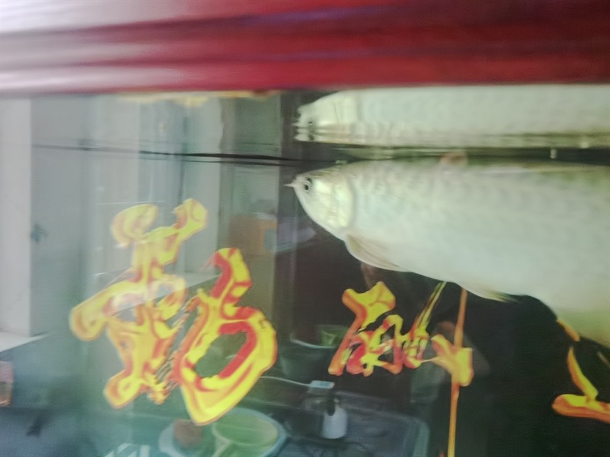 吃飯了