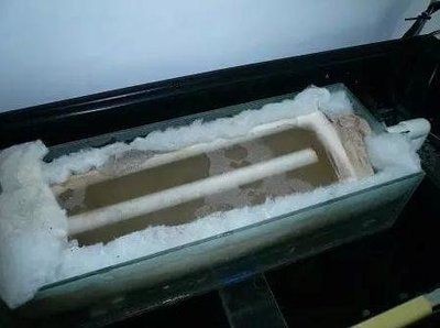 大型魚缸如何清洗水垢小妙招：如何清洗大型魚缸中的水垢