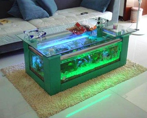 大型魚缸如何清洗水垢小妙招：如何清洗大型魚缸中的水垢