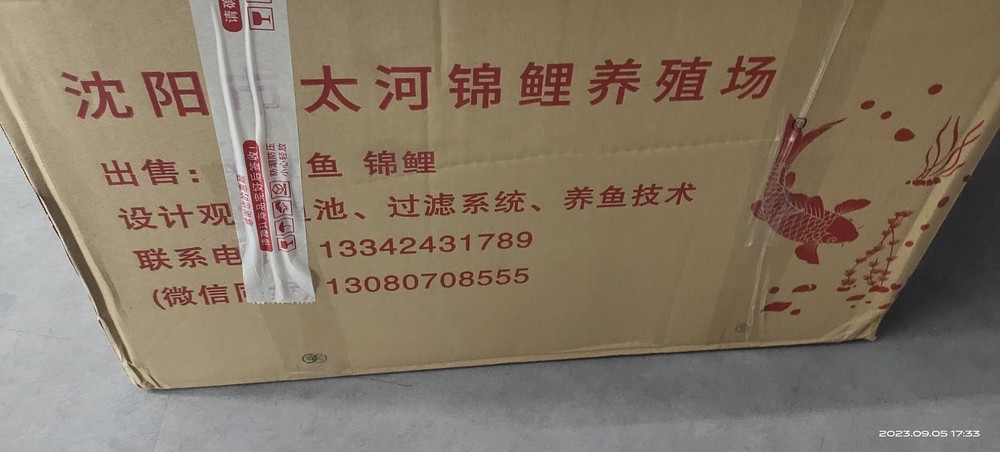 魚場選魚-視頻選魚-發(fā)貨-苦苦等待-到家-過溫-過水-入缸-大鹽-二氯一氣呵成！剩下的就靠你們自己了！