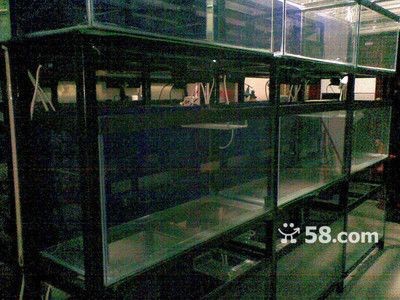 本地二手魚(yú)缸市場(chǎng)價(jià)格：二手魚(yú)缸價(jià)格行情根據(jù)搜索結(jié)果中找到了一些關(guān)于二手魚(yú)缸價(jià)格的信息