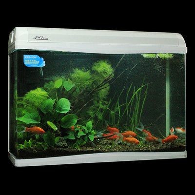 搬個1米2魚缸要多少錢：搬一個1米2的魚缸需要多少錢？