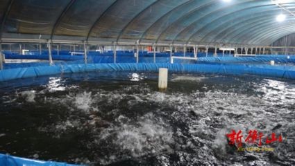 大桶水做魚缸好不好用：如何合理使用桶裝水養魚？
