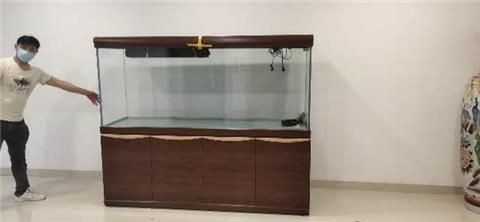 大型魚缸搬運：大型魚缸搬運指南