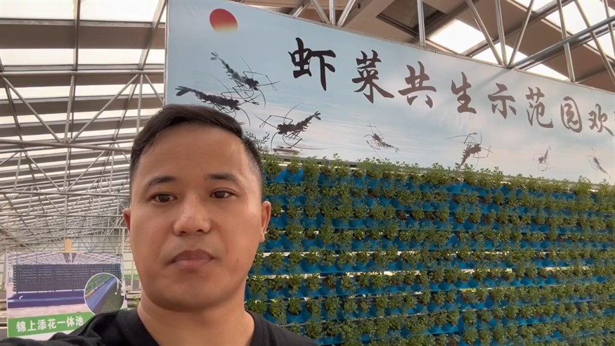 淡化標粗第二講