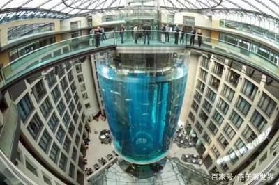 大魚缸適合養什么小魚：什么樣的魚適合養在大魚缸中？