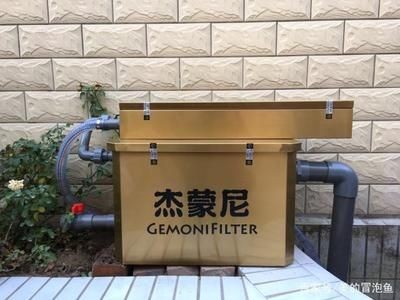 大魚缸如何消毒最好：高錳酸鉀消毒的方法