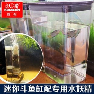 斗魚缸鋪什么底沙子好：如何正確選擇斗魚缸底沙