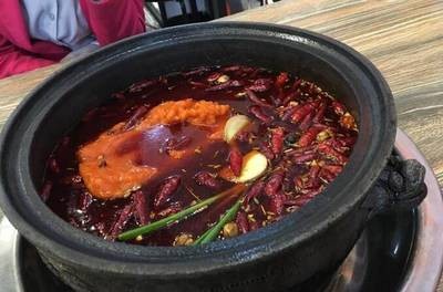 紅龍魚年齡和體長對照表圖片（紅龍魚年齡和體長對照表圖片大全）