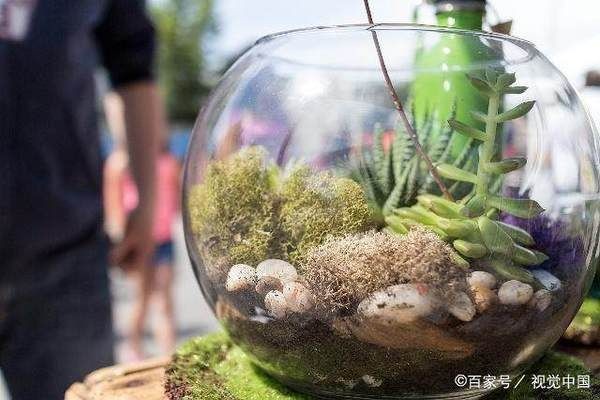 大魚缸費電嗎：大魚缸一個月總電費120元