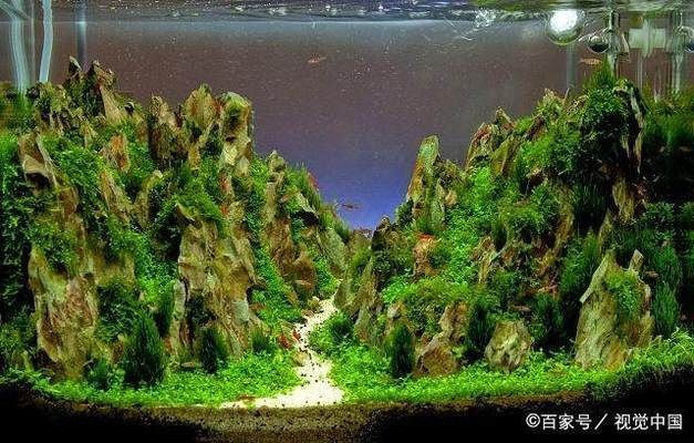 大魚缸費電嗎：大魚缸一個月總電費120元