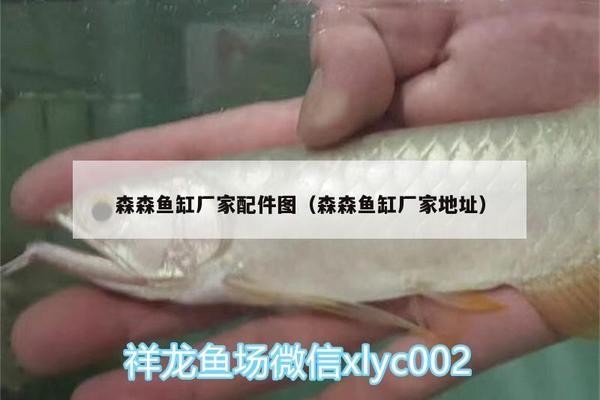 虎林市魚鑫之家水族館（虎林市魚鑫之家水族館電話）