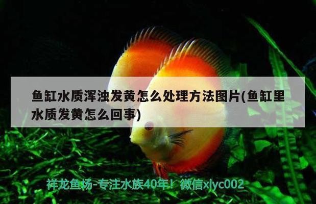 龍沙區花卉市場東海水族館（東海花卉市場在哪里）
