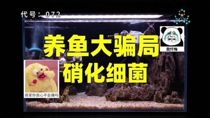 出售低價(jià)魚缸騙局：\"出售低價(jià)魚缸騙局\"
