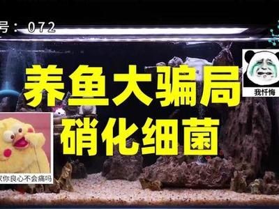 出售低價(jià)魚缸騙局：\"出售低價(jià)魚缸騙局\"