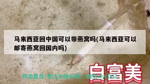 老虎魚有毒（老虎魚有沒有毒?）