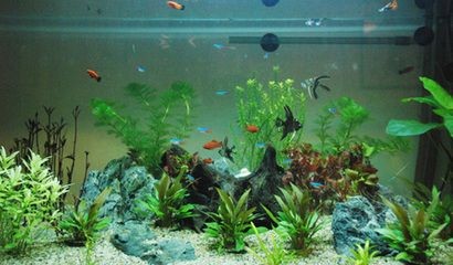 大型景觀魚缸制造設備：\"大型景觀魚缸制造設備\"信息