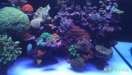 大型景觀魚缸制造設備：\"大型景觀魚缸制造設備\"信息