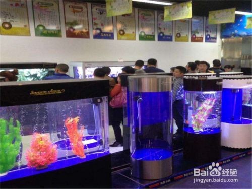 大型魚缸怎么搬上樓：大型魚缸搬運注意事項