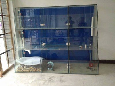 玻璃廠定制魚缸需要多少錢呢：定制玻璃魚缸價格
